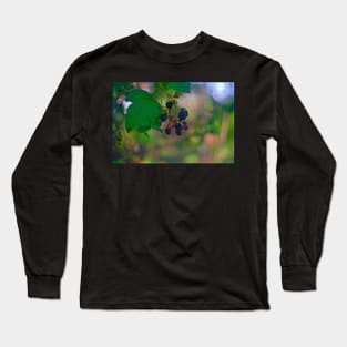 SEASONALITY Long Sleeve T-Shirt